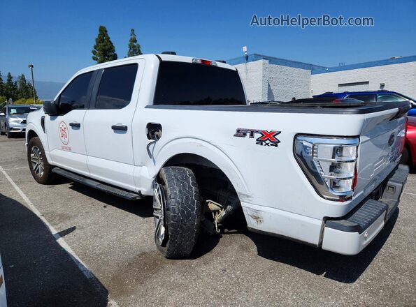 1FTEW1EP2MFB87373 2021 FORD F150 Gray 
