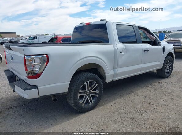1FTEW1EP2PKF61864 2023 FORD F150 White Tył prawy