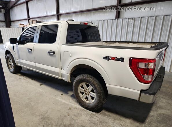 1FTEW1EP2PKF81967 2023 FORD F150 Белый Вид наклейки с VIN-кодом