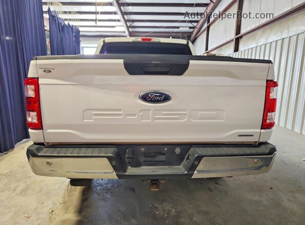 1FTEW1EP2PKF81967 2023 FORD F150 Белый Вид сзади