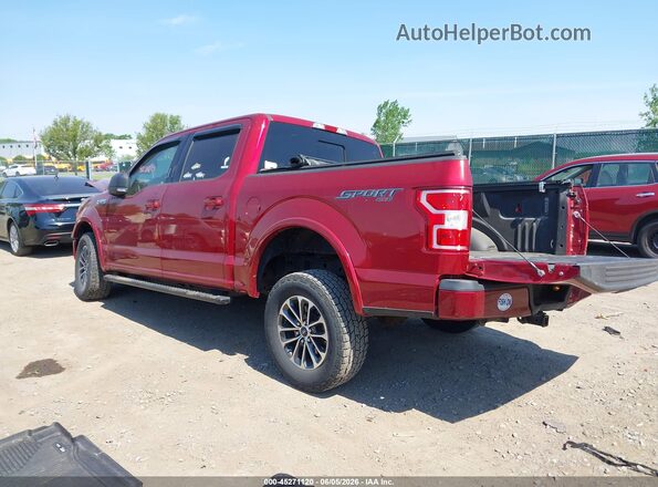 1FTEW1EP4KFC75418 2019 FORD F150 Красный Задняя левая четверть