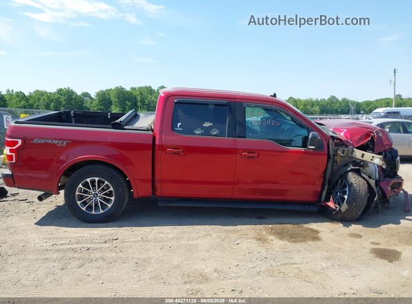 1FTEW1EP4KFC75418 2019 FORD F150 Красный Вид задней части салона