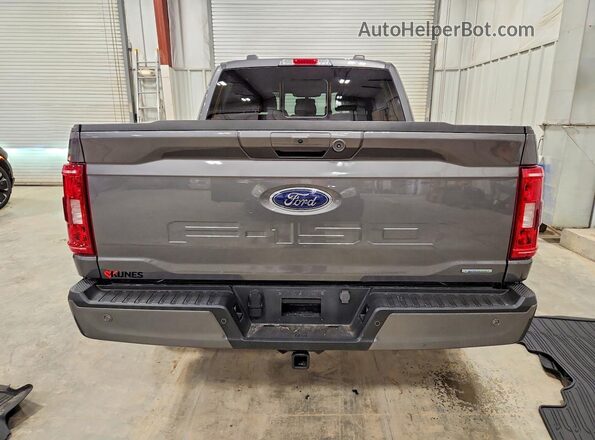 1FTEW1EP4PKE00657 2023 FORD F150 Gray Հետևի տեսք