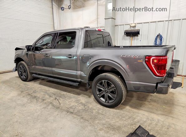 1FTEW1EP4PKE00657 2023 FORD F150 Gray Հետևի ձախ