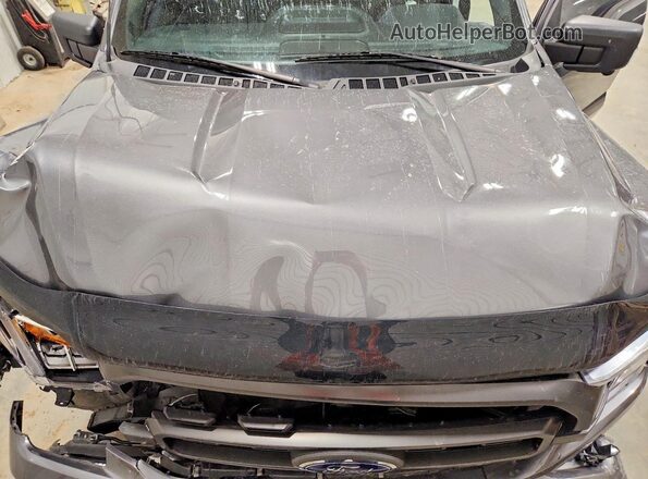 1FTEW1EP4PKE00657 2023 FORD F150 Gray Սալոնի հետևի տեսք