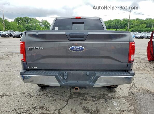 1FTEW1EP5GFA84324 2016 FORD F150 Gray Rear view