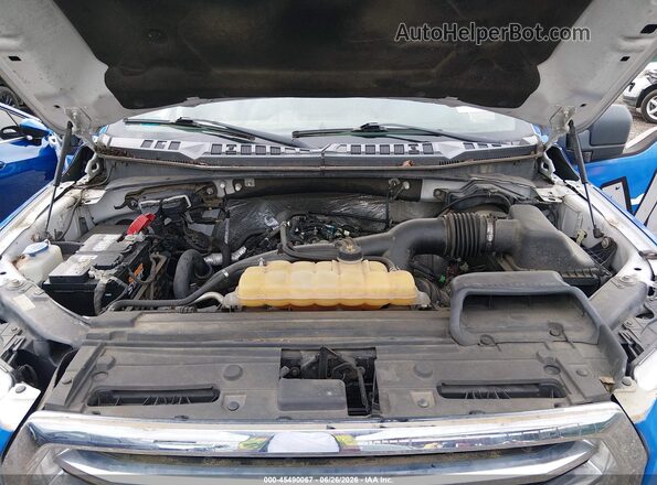 1FTEW1EP5GFD53082 2016 FORD F150 White Widok z tyłu