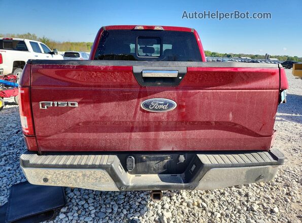 1FTEW1EP5HFC02020 2017 FORD F150 Бордовый Вид сзади