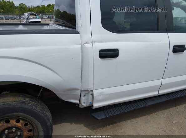 1FTEW1EP5KKC08396 2019 FORD F150 White Front view