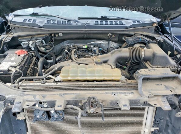 1FTEW1EP5LFC57186 2020 FORD F150 Blue Widok wnętrza z tyłu