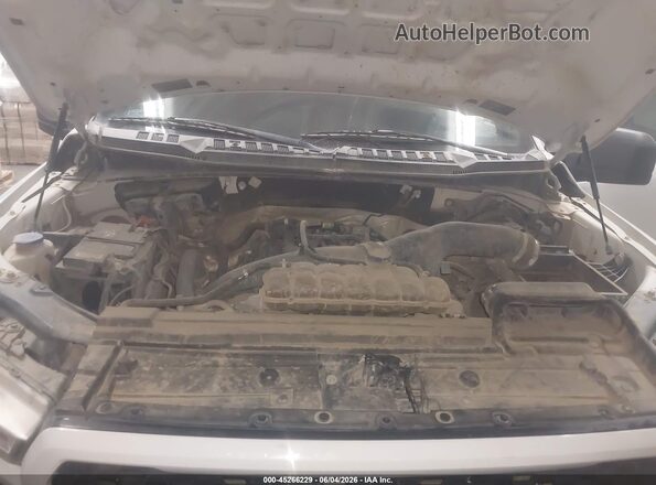 1FTEW1EP5LKE80206 2020 FORD F150 White Widok z tyłu