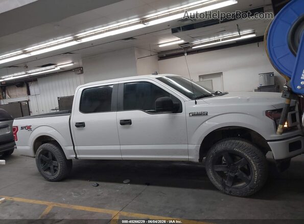 1FTEW1EP5LKE80206 2020 FORD F150 White Widok wnętrza z tyłu