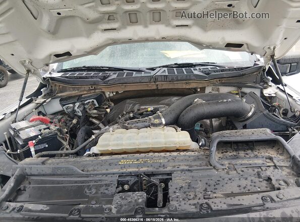1FTEW1EP5MFA39251 2021 FORD F150 White Vista trasera