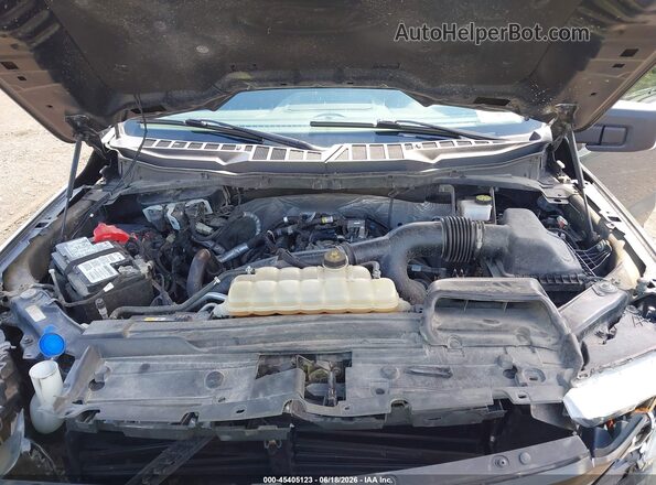 1FTEW1EP5MFC23587 2021 FORD F150 Серый Вид сзади