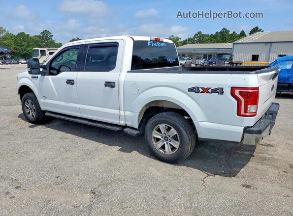 1FTEW1EP6HKC88302 2017 FORD F150 White Tył lewy