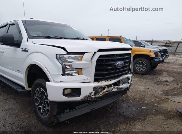 1FTEW1EP6HKD66352 2017 FORD F150 White Դիմացի տեսք