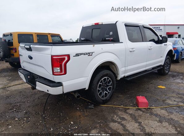 1FTEW1EP6HKD66352 2017 FORD F150 White Հետևի աջ