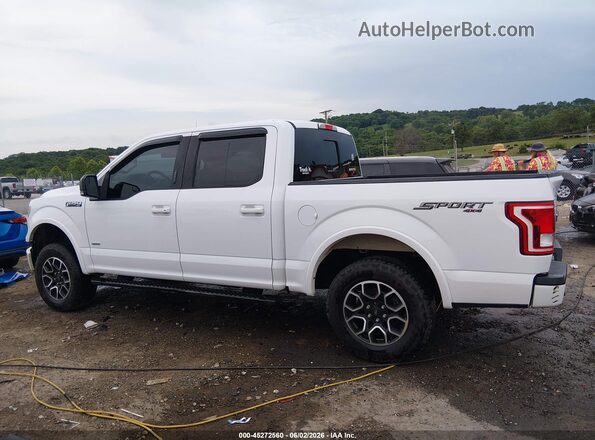 1FTEW1EP6HKD66352 2017 FORD F150 White Սալոնի 360 աստիճան տեսք