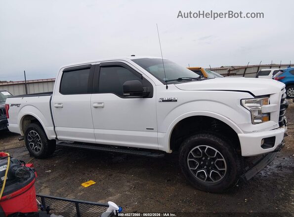 1FTEW1EP6HKD66352 2017 FORD F150 White Սալոնի հետևի տեսք