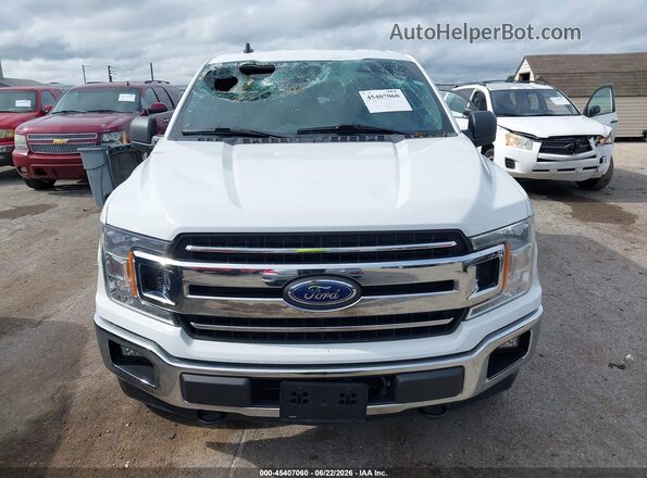 1FTEW1EP6LFB55587 2020 FORD F150 White Սալոնի հետևի տեսք