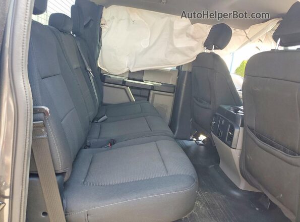 1FTEW1EP6LFC56225 2020 FORD F150 Gray Widok tylnych siedzeń