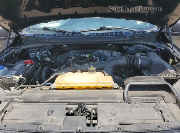 1FTEW1EP6LFC56225 2020 FORD F150 Gray Widok wnętrza z tyłu