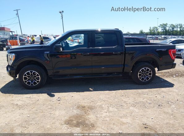1FTEW1EP6PFA21460 2023 FORD F150 Black სალონის 360-გრადუსიანი ხედი