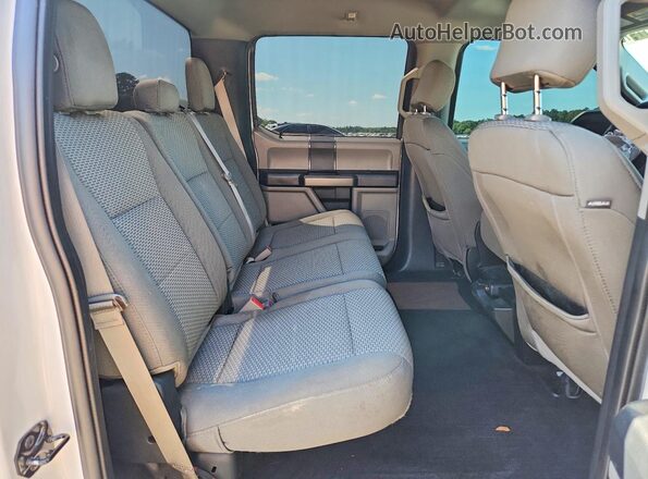 1FTEW1EP7KFD39290 2019 FORD F150 White 