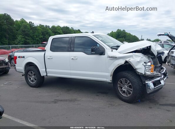 1FTEW1EP7LFA29500 2020 FORD F150 White Սալոնի հետևի տեսք