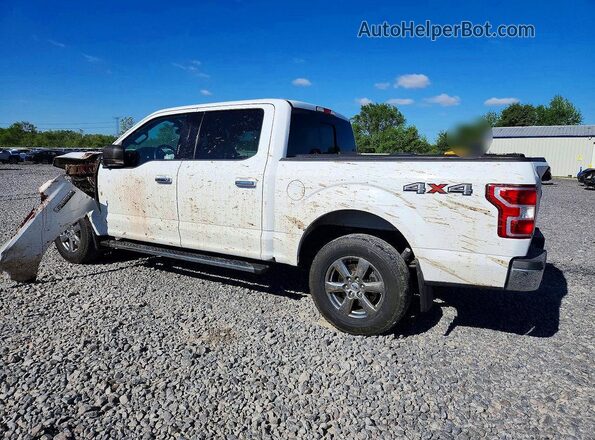 1FTEW1EP7LFC81652 2020 FORD F150 White Tył lewy