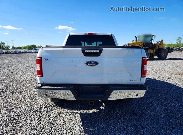 1FTEW1EP7LFC81652 2020 FORD F150 White Widok z tyłu