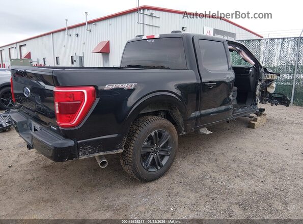 1FTEW1EP7PKD50191 2023 FORD F150 Black Tył prawy