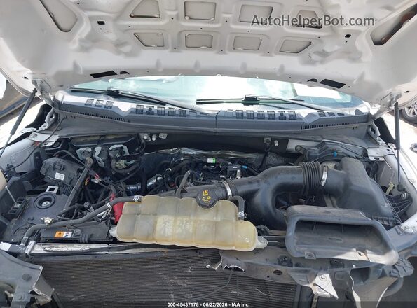 1FTEW1EP8KFB42855 2019 FORD F150 White Вид ззаду