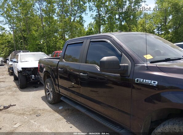1FTEW1EP8KFB95037 2019 FORD F150 Фиолетовый Вид задней части салона