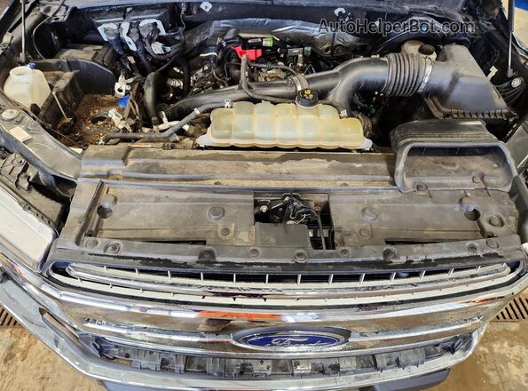 1FTEW1EP8LFC03736 2020 FORD F150 Black Widok wnętrza z tyłu