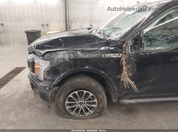 1FTEW1EP8LKE20002 2020 FORD F150 Black Vista frontal