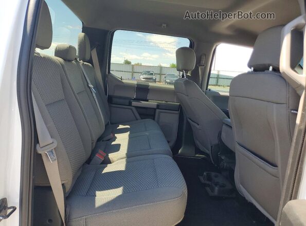 1FTEW1EP8LKF39300 2020 FORD F150 White Widok tylnych siedzeń