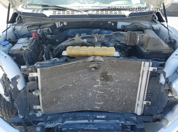 1FTEW1EP8LKF39300 2020 FORD F150 White Widok wnętrza z tyłu