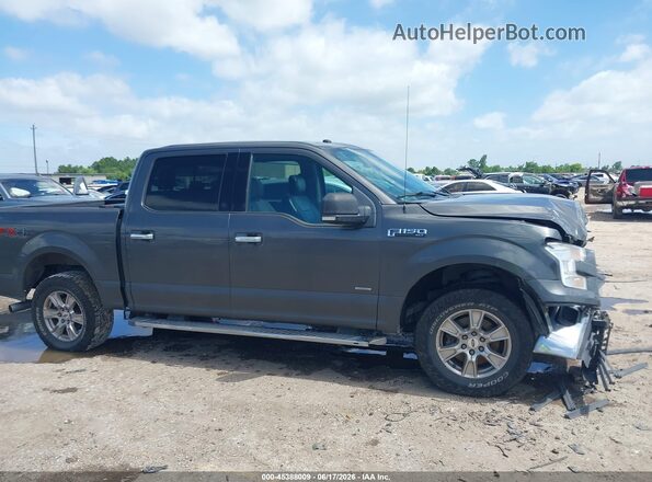 1FTEW1EP9GKD71852 2016 FORD F150 Gray Вид задньої частини салону