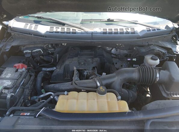 1FTEW1EP9HFA63283 2017 FORD F150 Gray Widok z tyłu