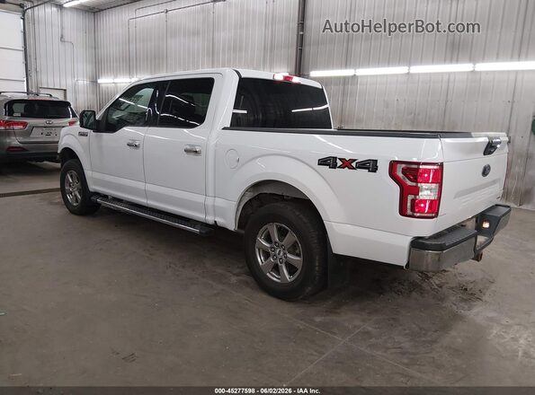 1FTEW1EPXJKF04481 2018 FORD F150 White Tył lewy