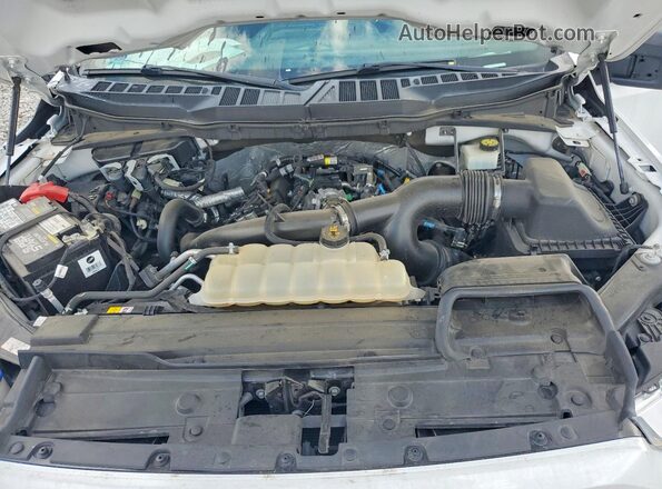 1FTEW1EPXMKD53629 2021 FORD F150 Белый Вид задней части салона