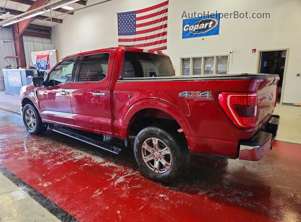 1FTEW1EPXMKE16566 2021 FORD F150 Burgundy 