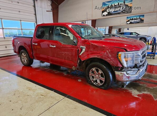 1FTEW1EPXMKE16566 2021 FORD F150 Burgundy 