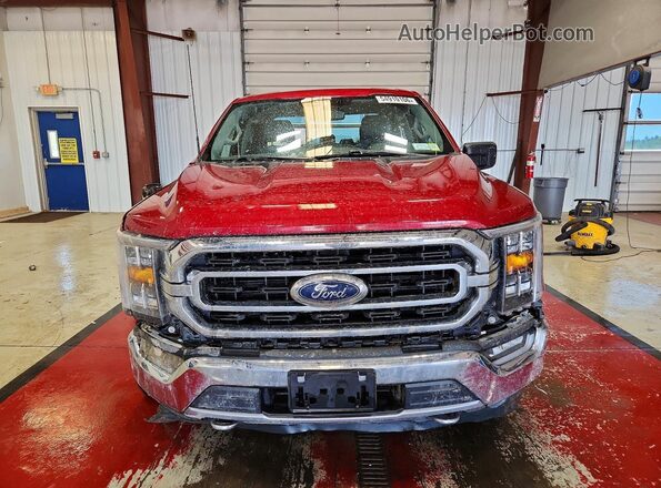 1FTEW1EPXMKE16566 2021 FORD F150 Burgundy 