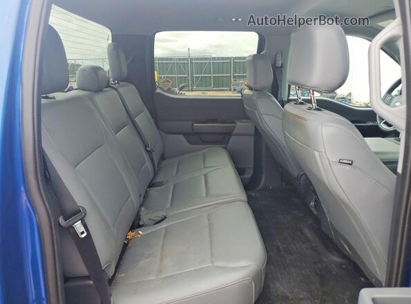 1FTEW1LP6RKD07046 2024 FORD F150 Синий Вид задних сидений