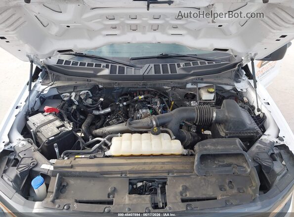 1FTEW2KP0RKE20790 2024 FORD F150 White Вид ззаду