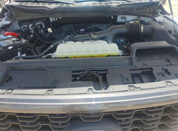 1FTEW2KP1SKE94290 2025 FORD F150 White Սալոնի հետևի տեսք