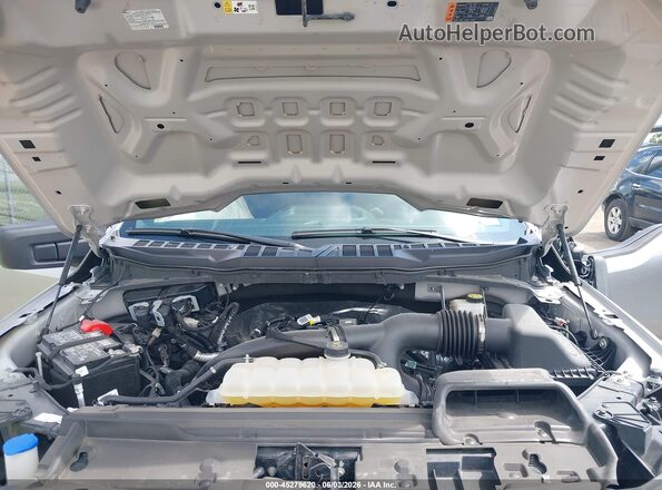 1FTEW2KP2RKF19160 2024 FORD F150 Silver Widok z tyłu