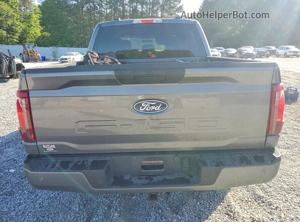 1FTEW2KP2SKD46696 2025 FORD F150 Gray 